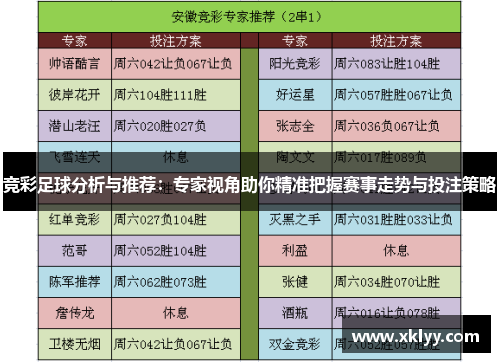 竞彩足球分析与推荐：专家视角助你精准把握赛事走势与投注策略