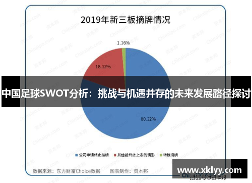 中国足球SWOT分析：挑战与机遇并存的未来发展路径探讨