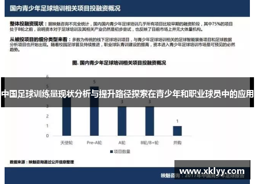 中国足球训练量现状分析与提升路径探索在青少年和职业球员中的应用