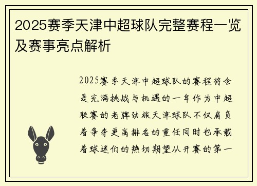 2025赛季天津中超球队完整赛程一览及赛事亮点解析